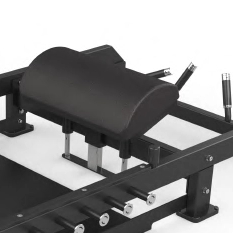 Empuje múltiple de cadera BG2F32