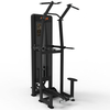 CG1A16 Asistente Bin/Dip
