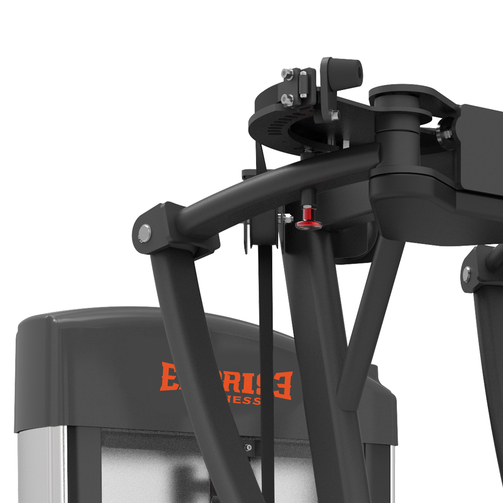 BPM1231 Mosca pectoral y deltoides trasero