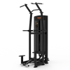CG2A16 Asistente Bin/Dip