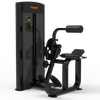CG2017 Extensión posterior