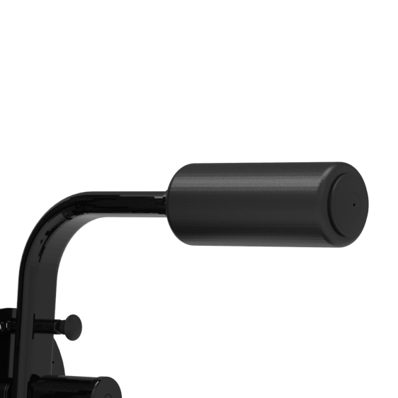 CG2017 Extensión posterior