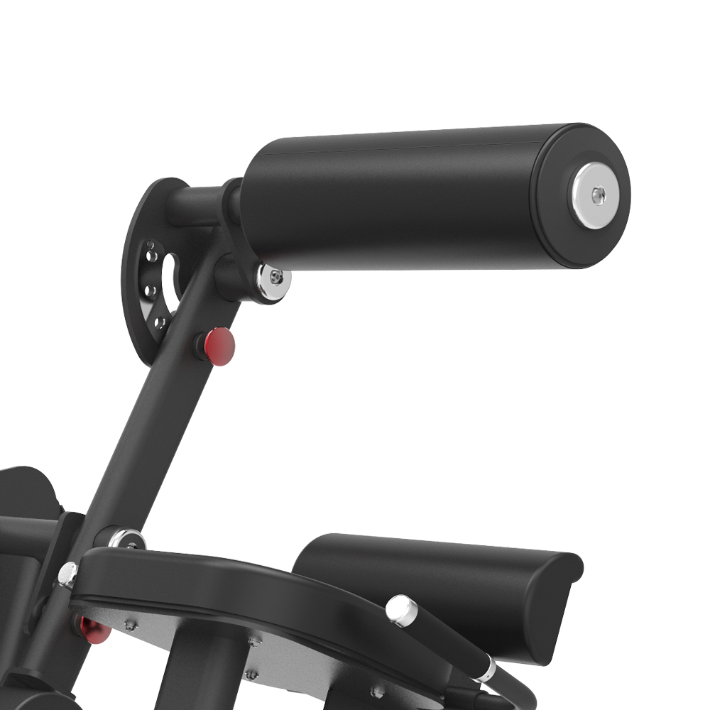 BPM1210 Extensión de espalda 