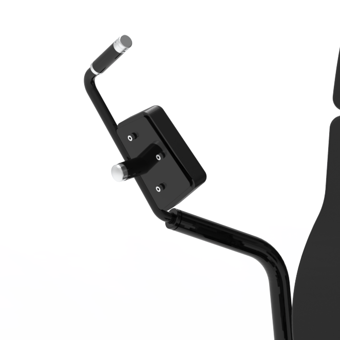 CG2007 Fisa pectoral