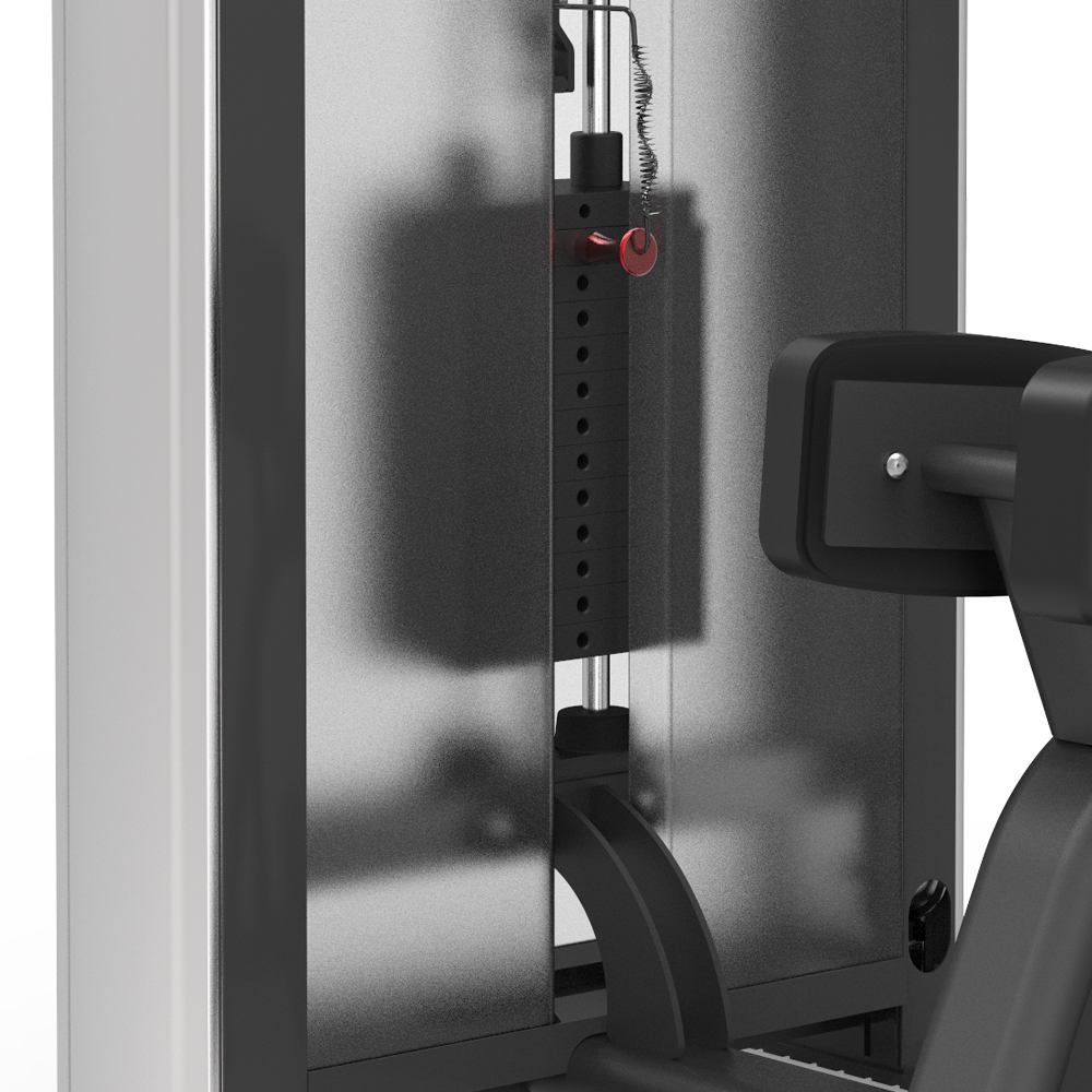 BPM1204 Rotación del torso sentado