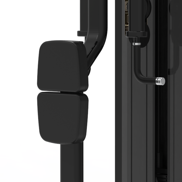 CG2009 PEC Fly-Rear Deltoid