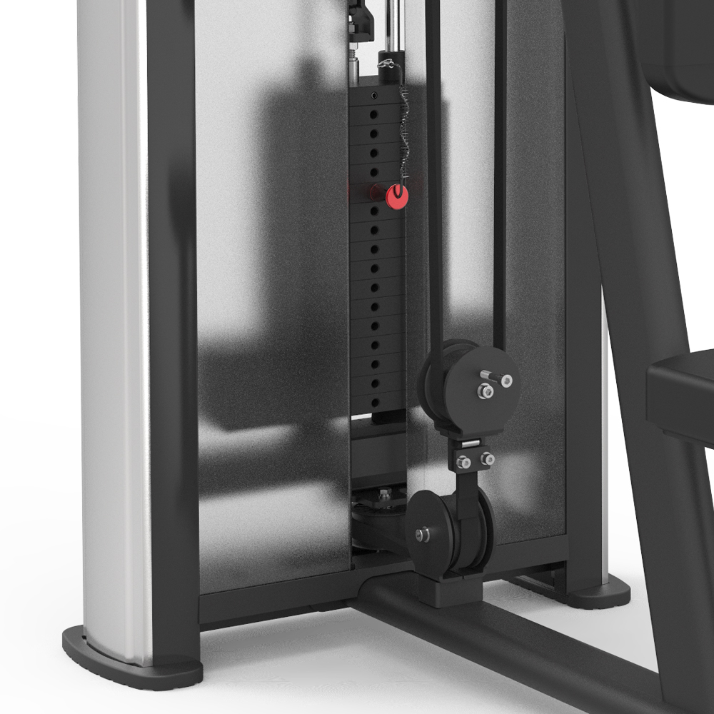 BPM1231 Mosca pectoral y deltoides trasero